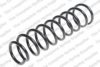 LESJ?FORS 4259249 Coil Spring